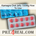 Kamagra Oral Jelly 100Mg How To Use new14